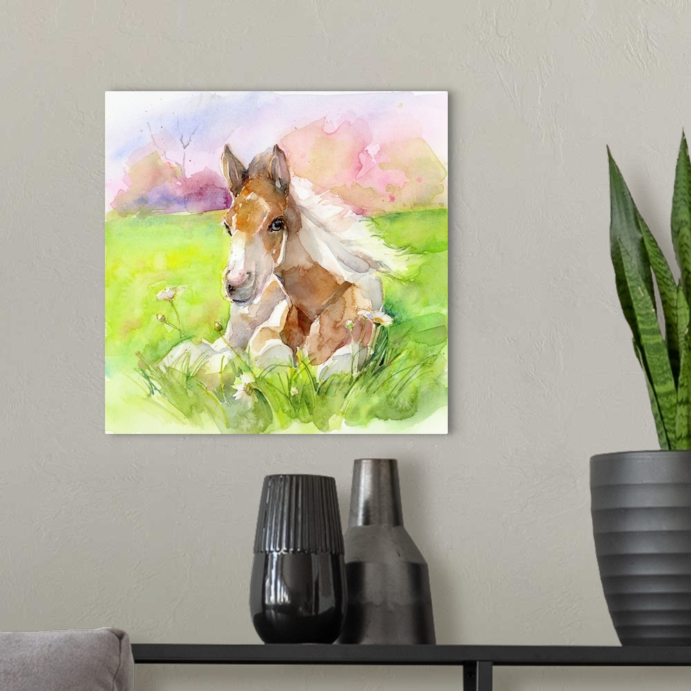 A modern room featuring Foal