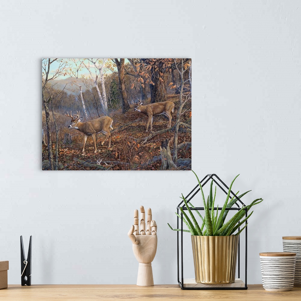 A bohemian room featuring Two deer walking through a forest in the fall.
