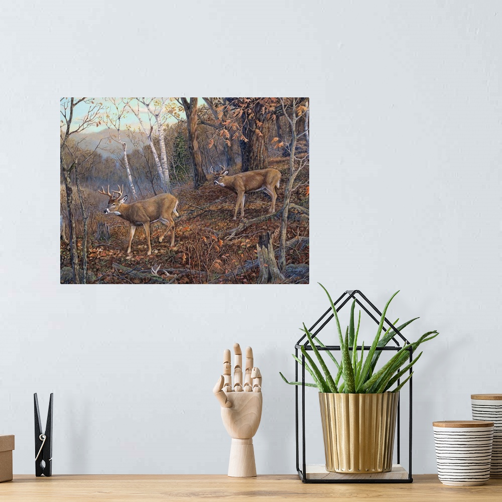 A bohemian room featuring Two deer walking through a forest in the fall.