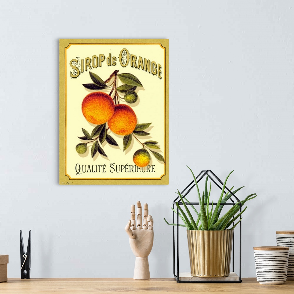 A bohemian room featuring Docor perfect for the kitchen of drawn oranges still on the tree branch with French text written ...