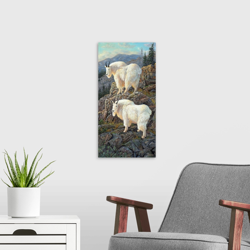 A modern room featuring Goat Country