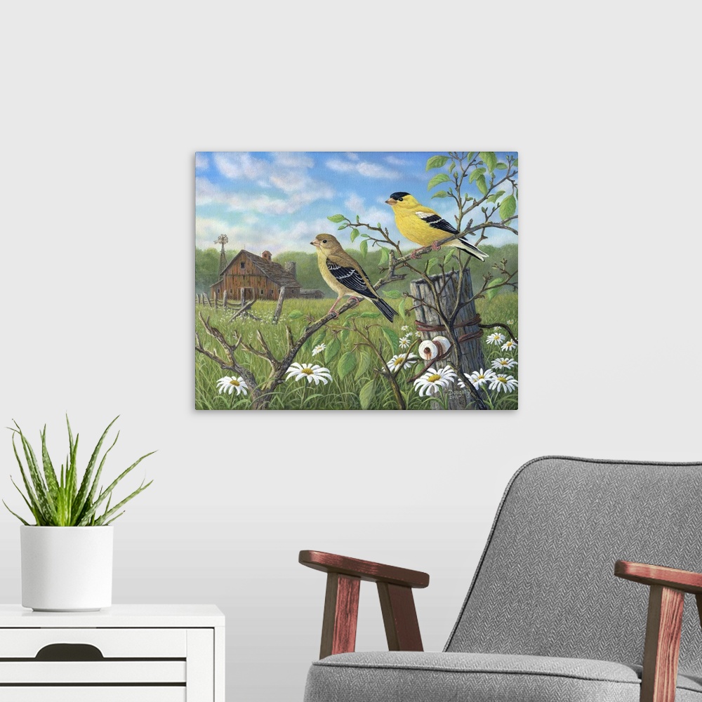 A modern room featuring Golden Moment Finches