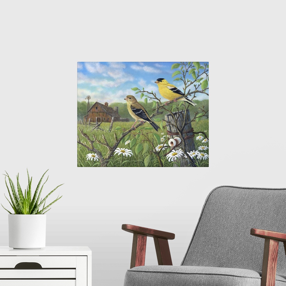 A modern room featuring Golden Moment Finches