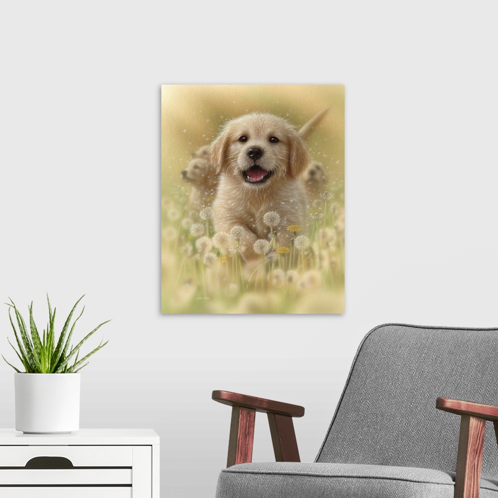 A modern room featuring Golden Retriever Puppy - Dandelions