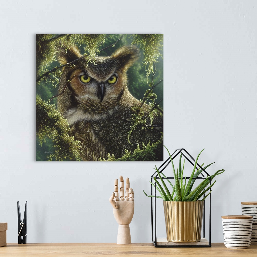 A bohemian room featuring Great Horned Owl - Watching and Waiting