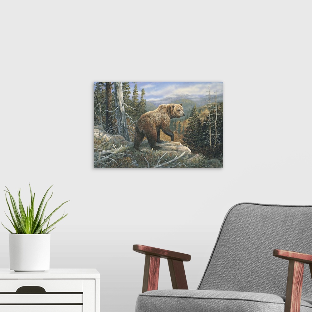 A modern room featuring Grizzlies Domain