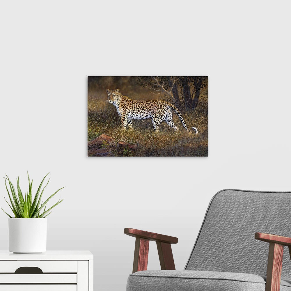 A modern room featuring A leopard walking through the tall grass.