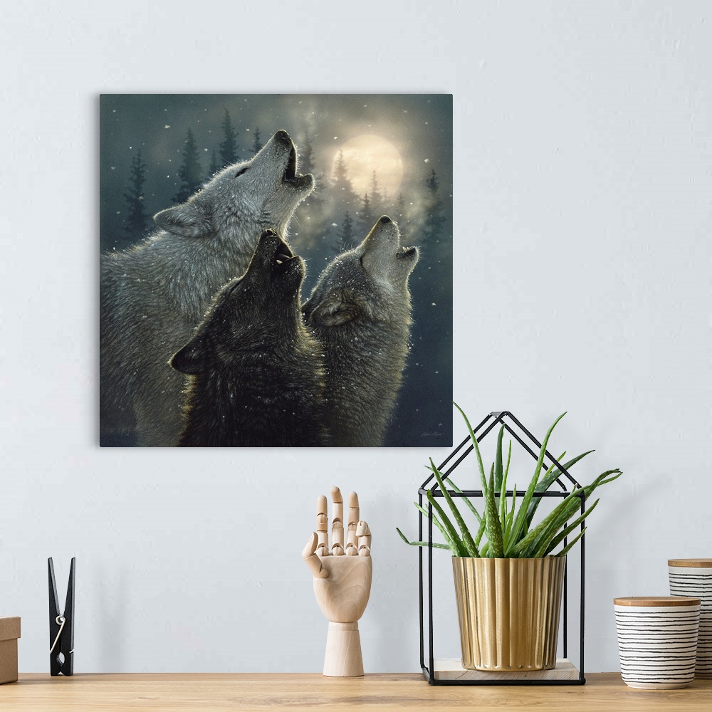 A bohemian room featuring Howling Wolves - In Harmony