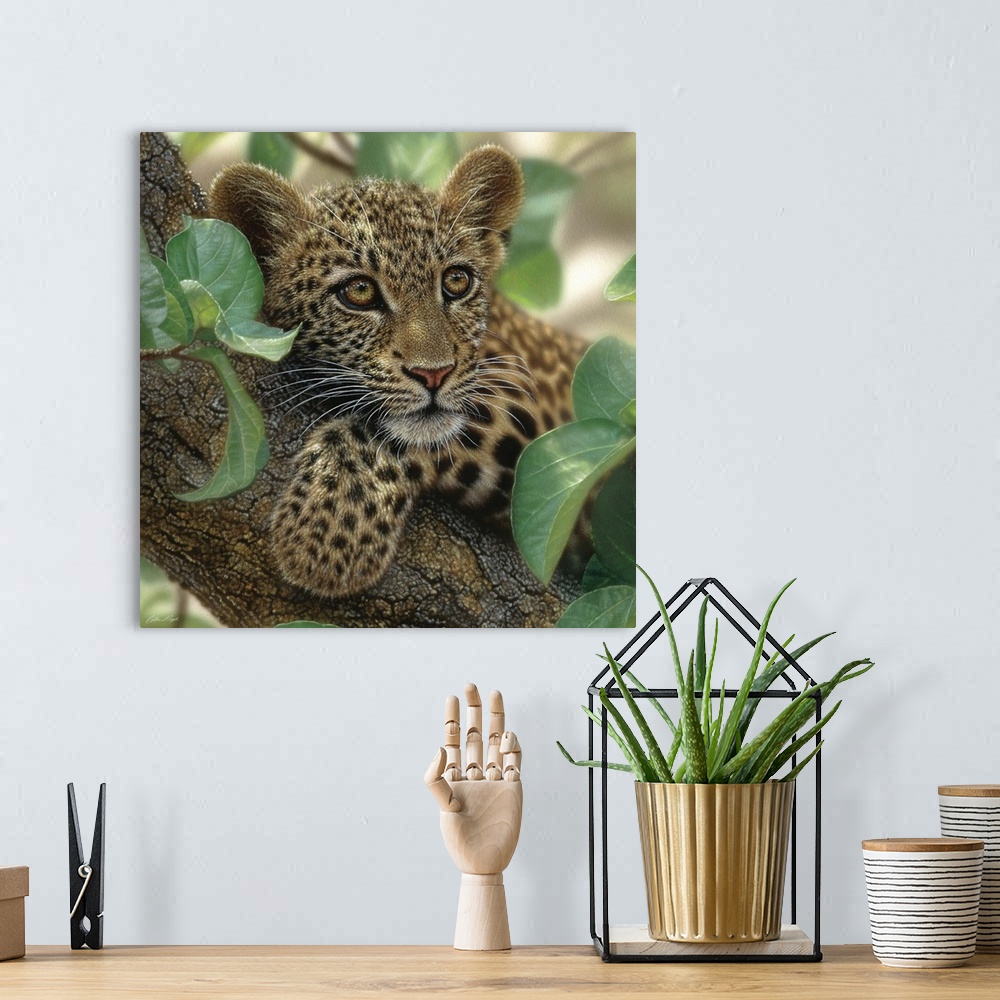 A bohemian room featuring Leopard Cub - Tree Hugger