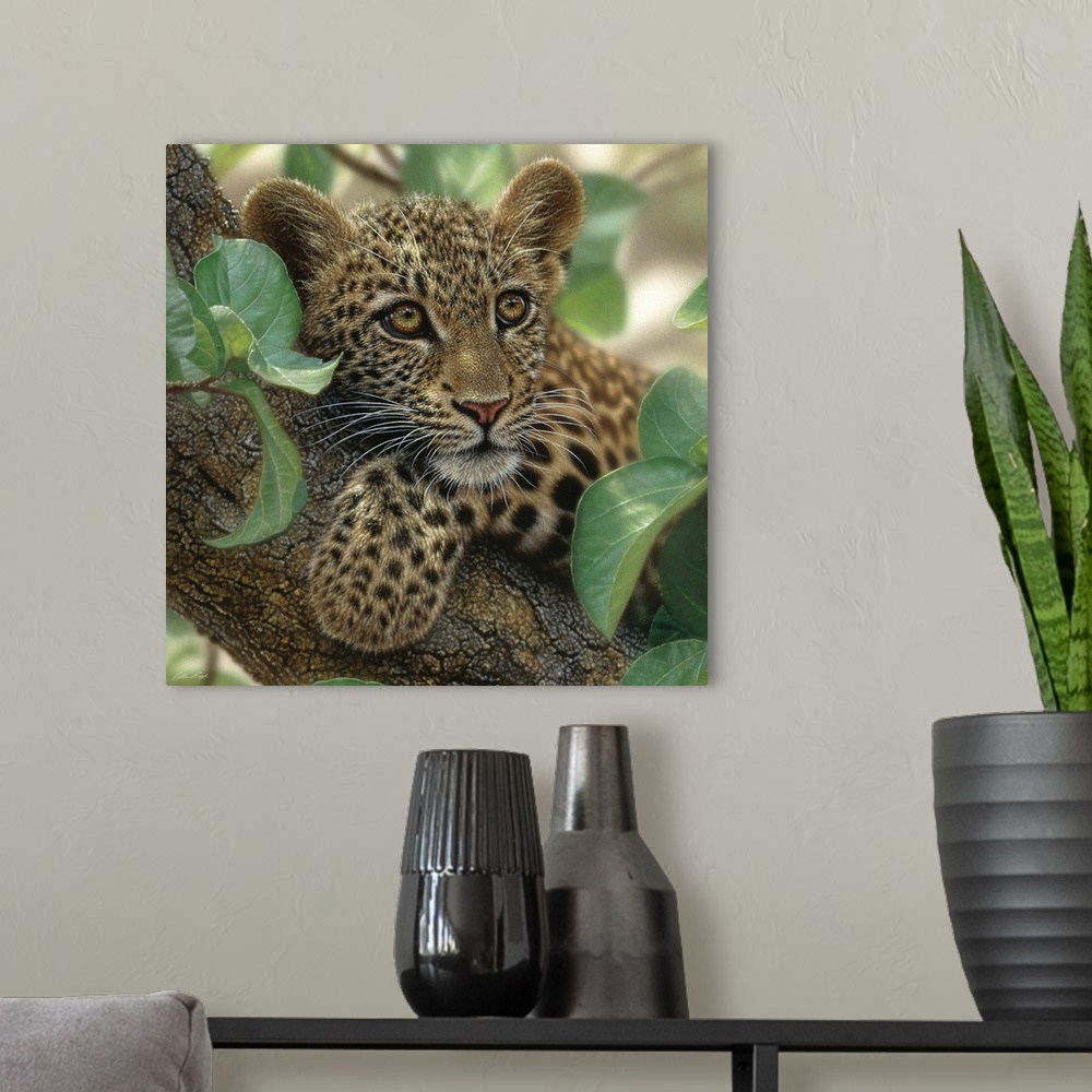 A modern room featuring Leopard Cub - Tree Hugger
