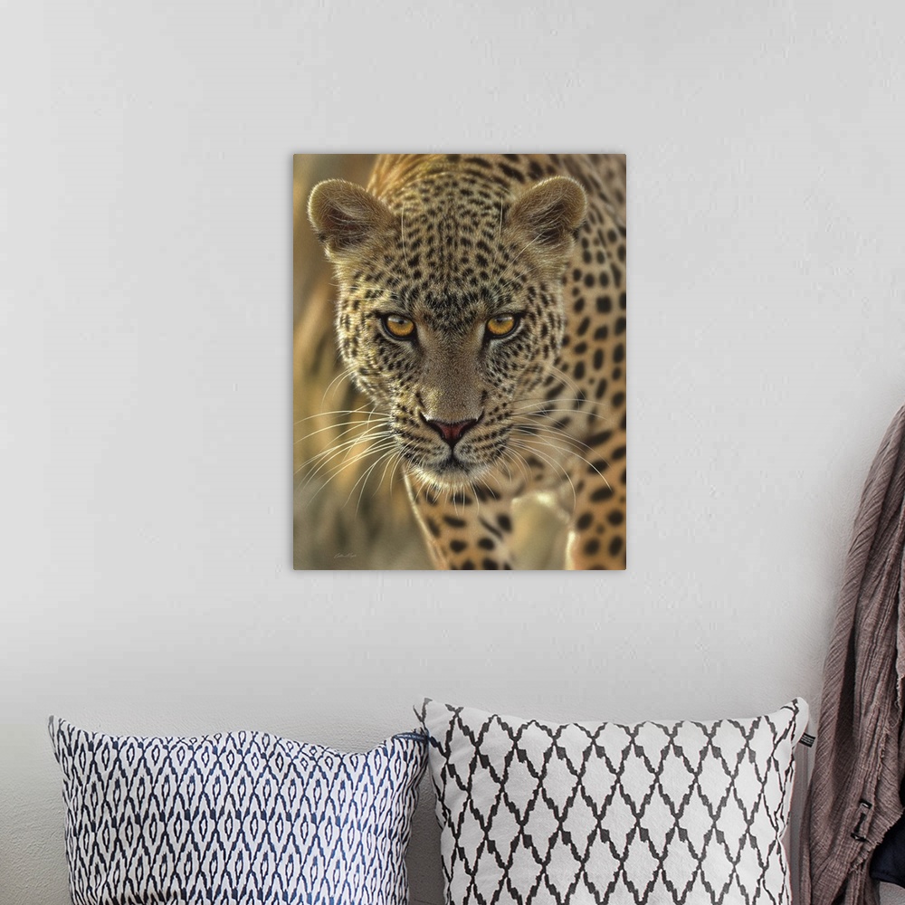 A bohemian room featuring Leopard - On the Prowl