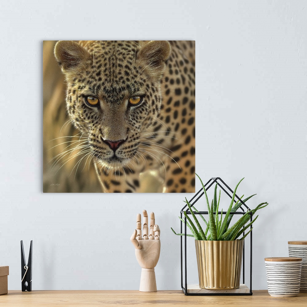 A bohemian room featuring Leopard - On the Prowl - Square
