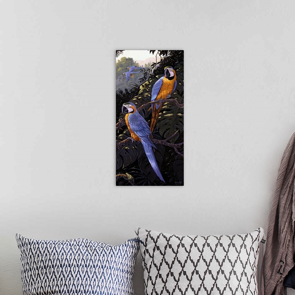 A bohemian room featuring Macaws