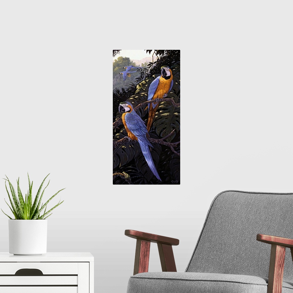 A modern room featuring Macaws