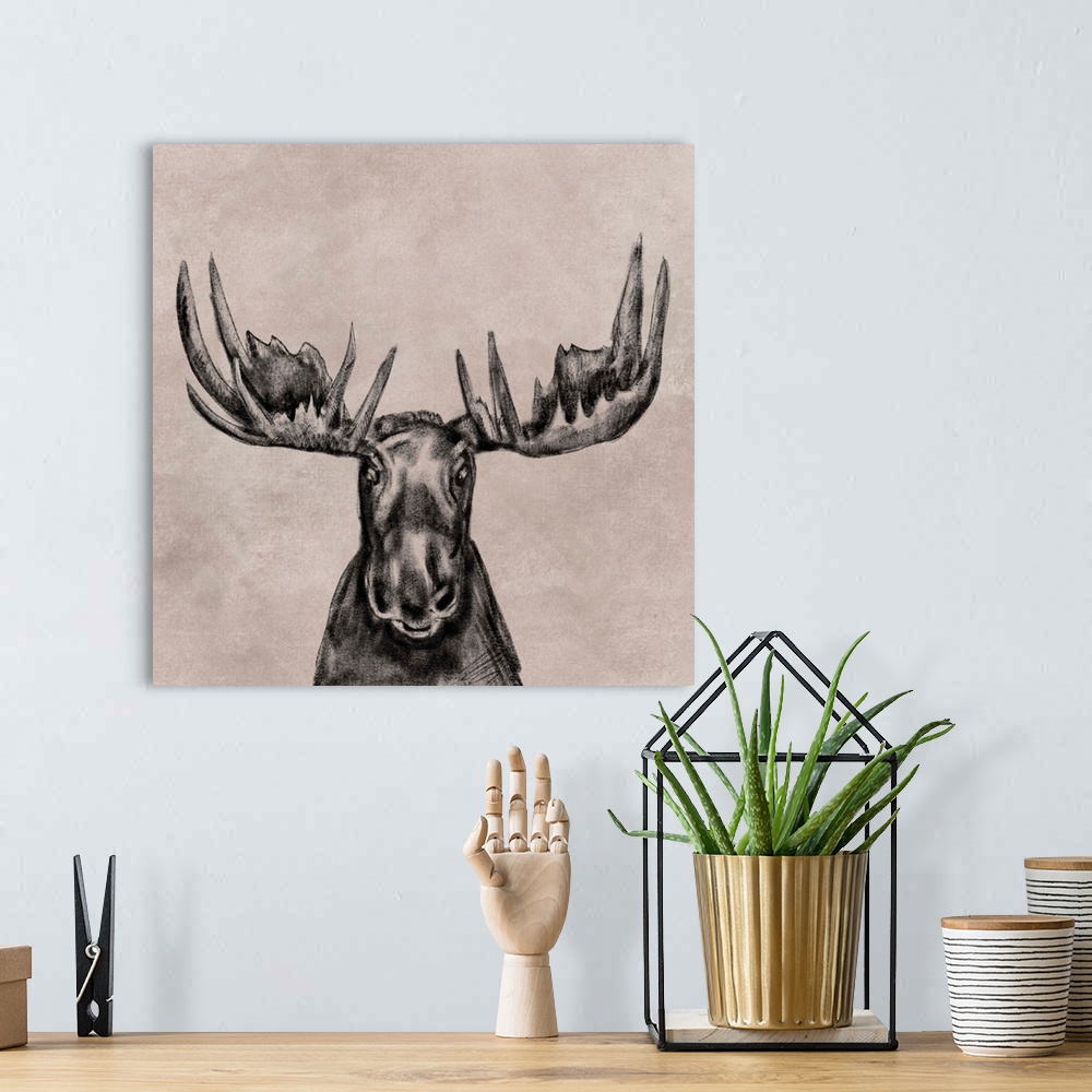 A bohemian room featuring Moose Face