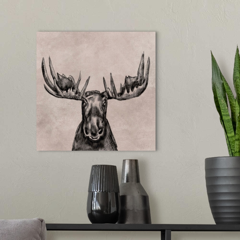 A modern room featuring Moose Face