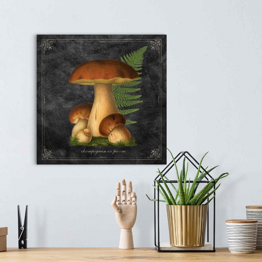 A bohemian room featuring Mushroom Style I