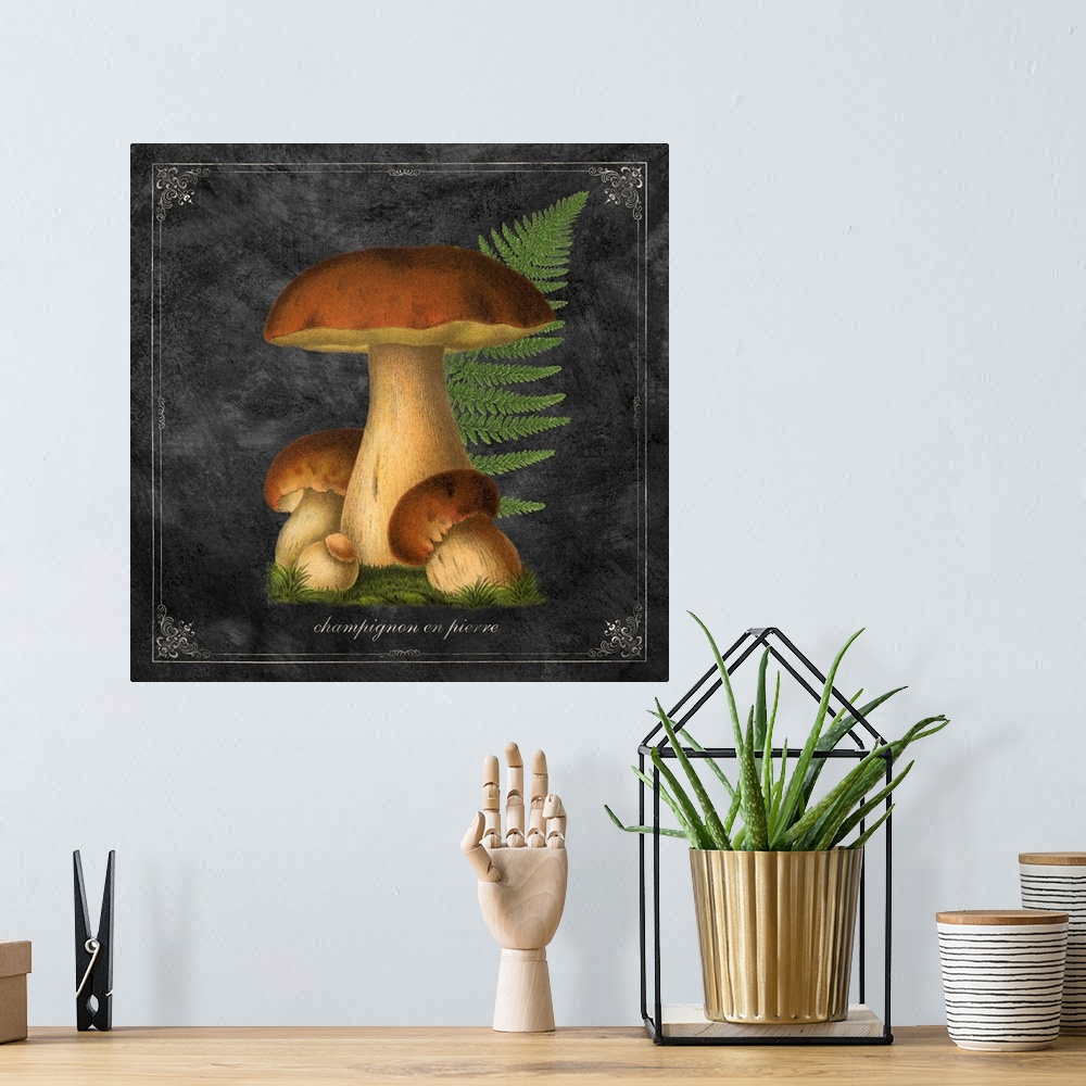 A bohemian room featuring Mushroom Style I