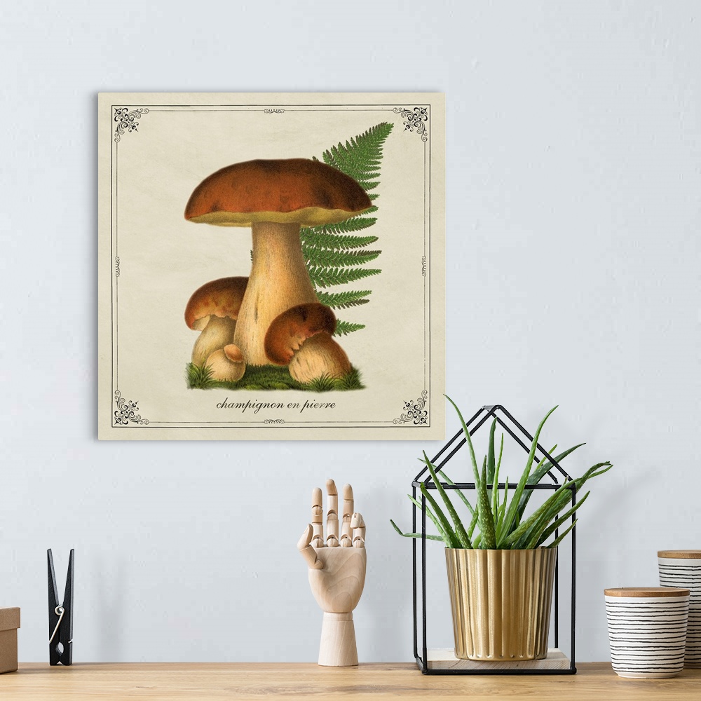 A bohemian room featuring Mushroom Style VII
