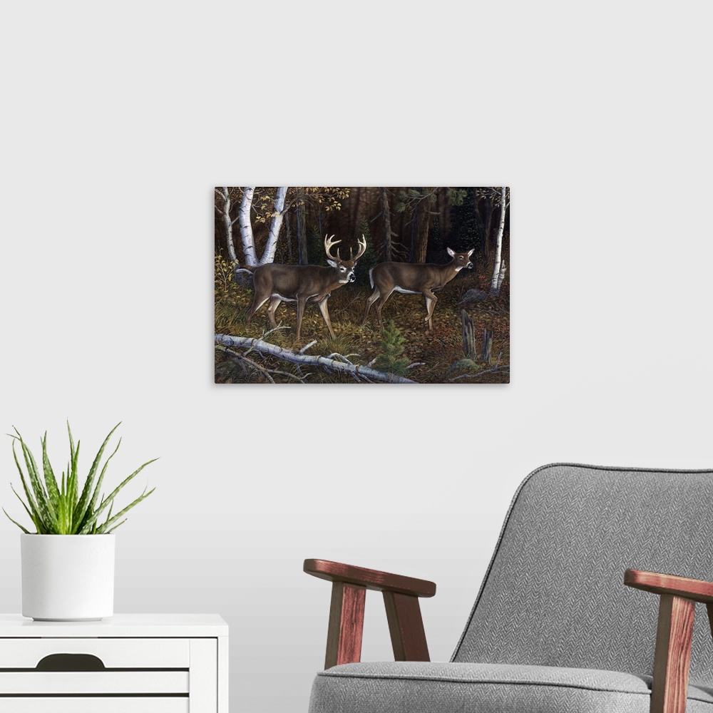 A modern room featuring Mystery Hollow Whitetail