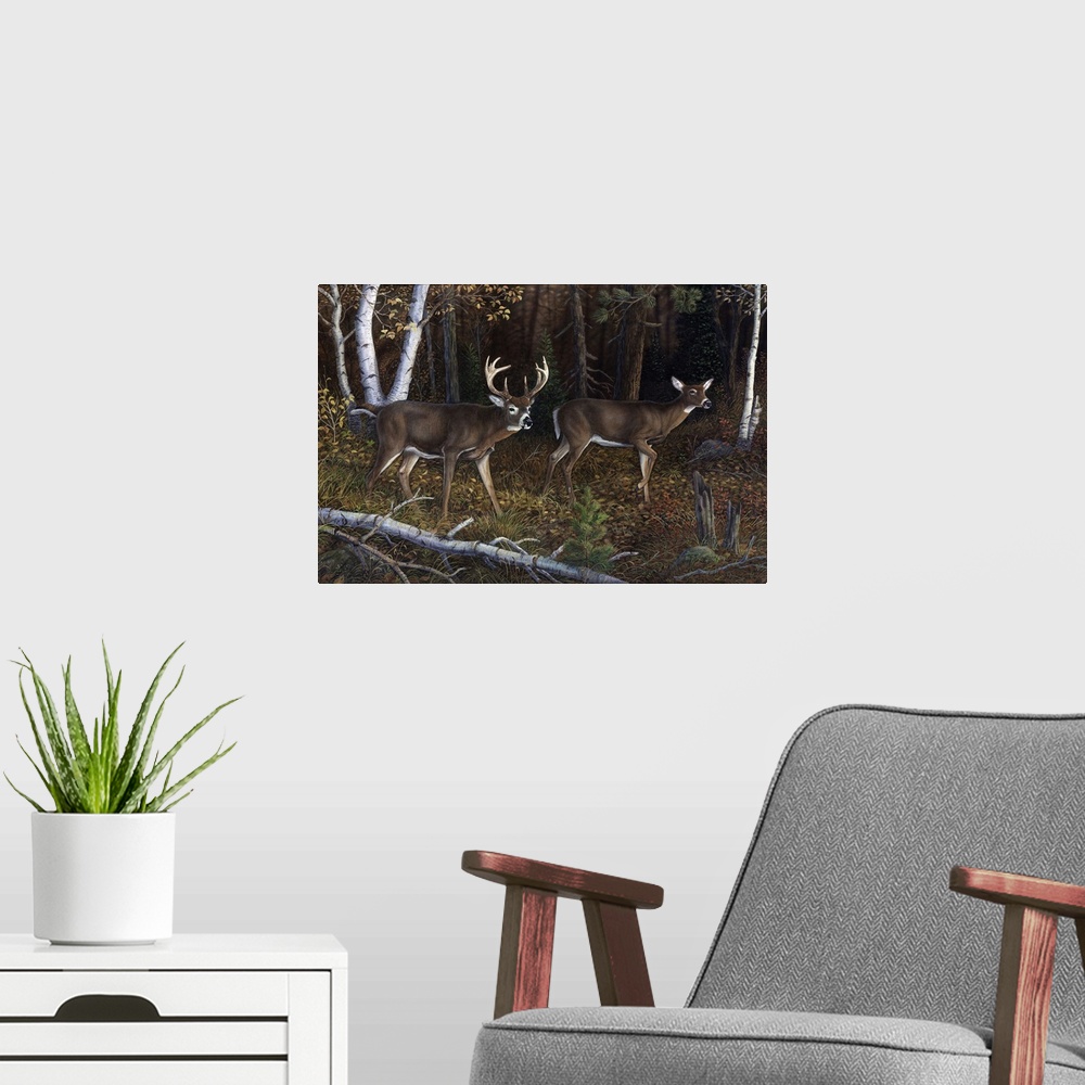 A modern room featuring Mystery Hollow Whitetail