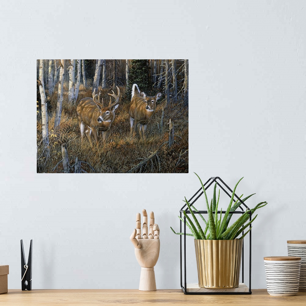 A bohemian room featuring November Instinct Deer