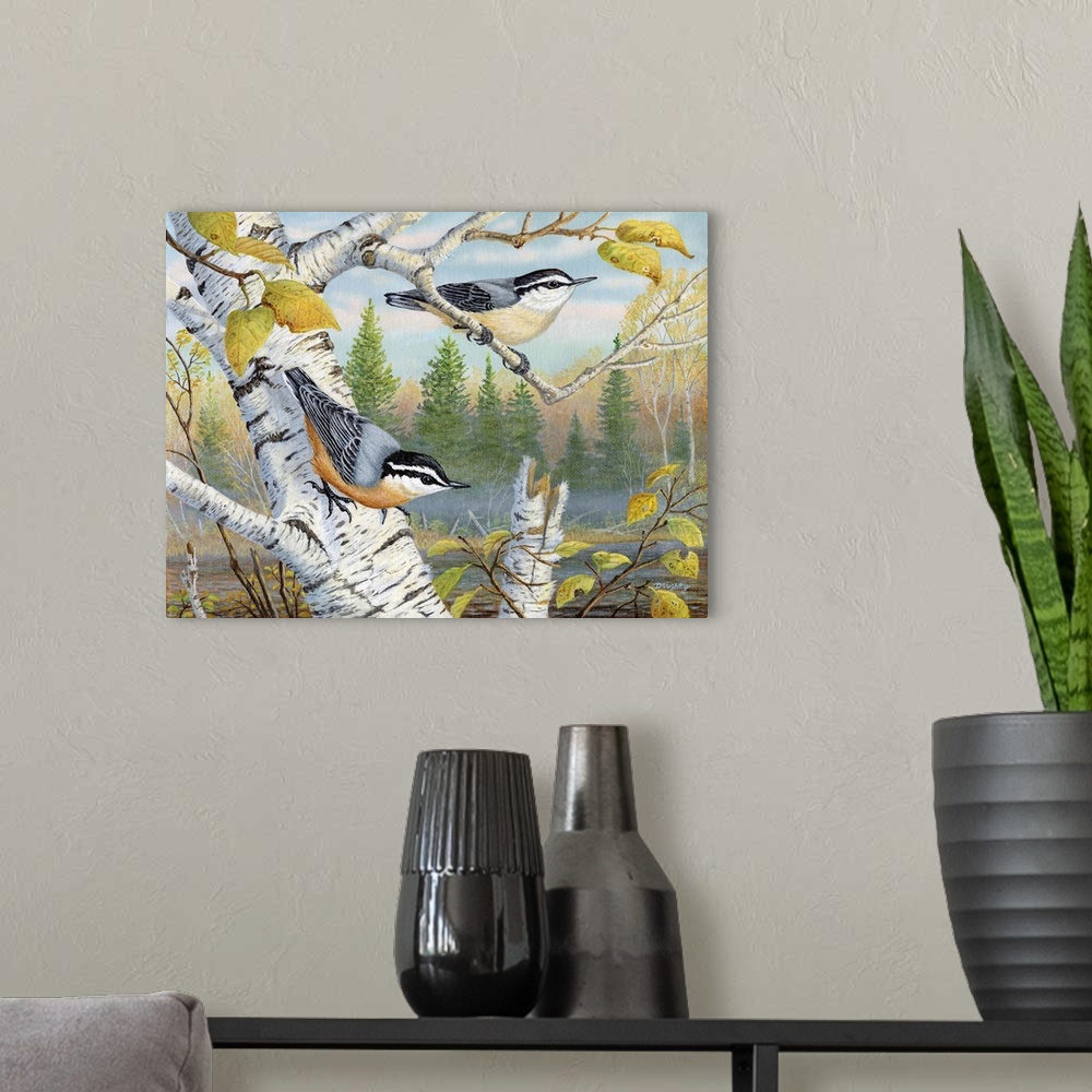A modern room featuring Nuthatch