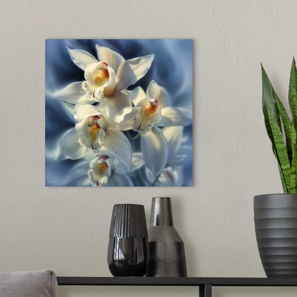 A modern room featuring Orchids