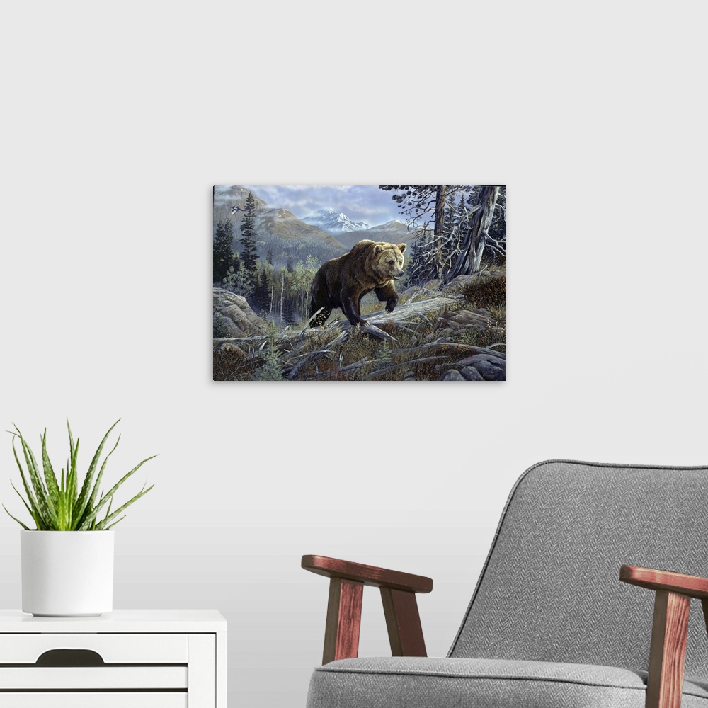 A modern room featuring Over the Top Grizzly