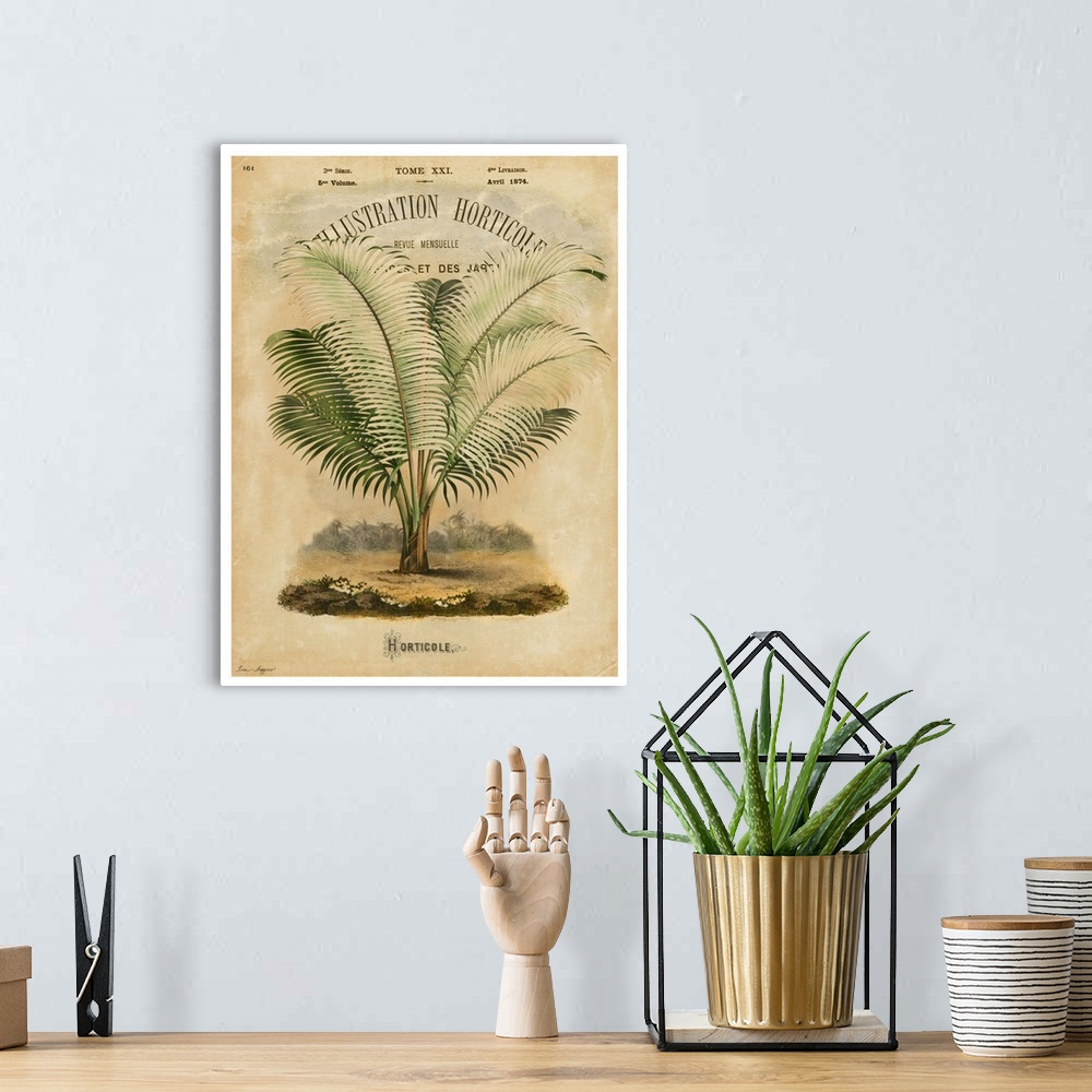 A bohemian room featuring Palms