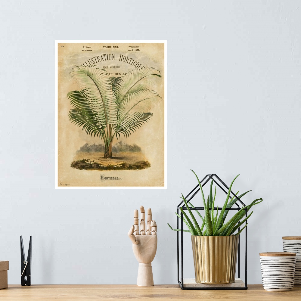 A bohemian room featuring Palms