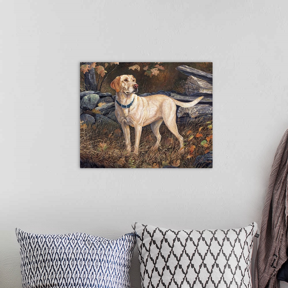 A bohemian room featuring Ready to go Yellow Labs