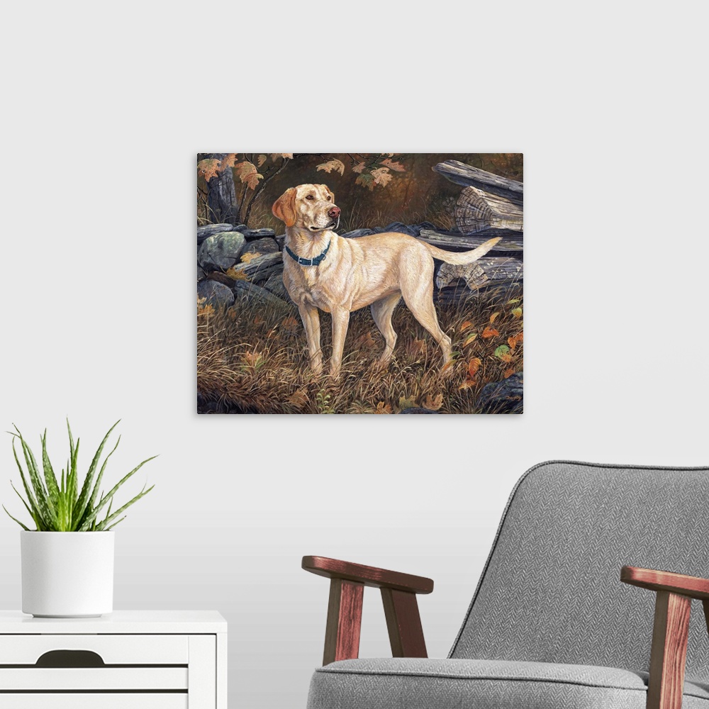 A modern room featuring Ready to go Yellow Labs