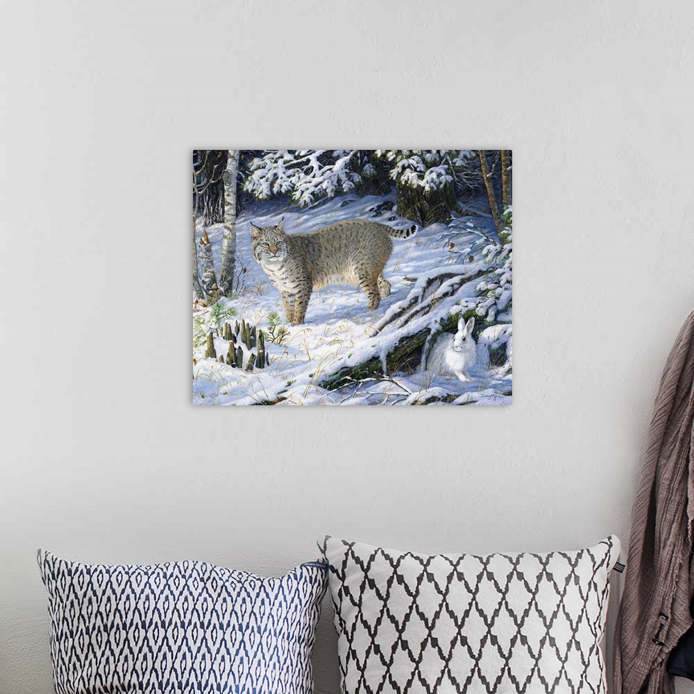 A bohemian room featuring A lynx hunting a rabbit in a snowy forest.