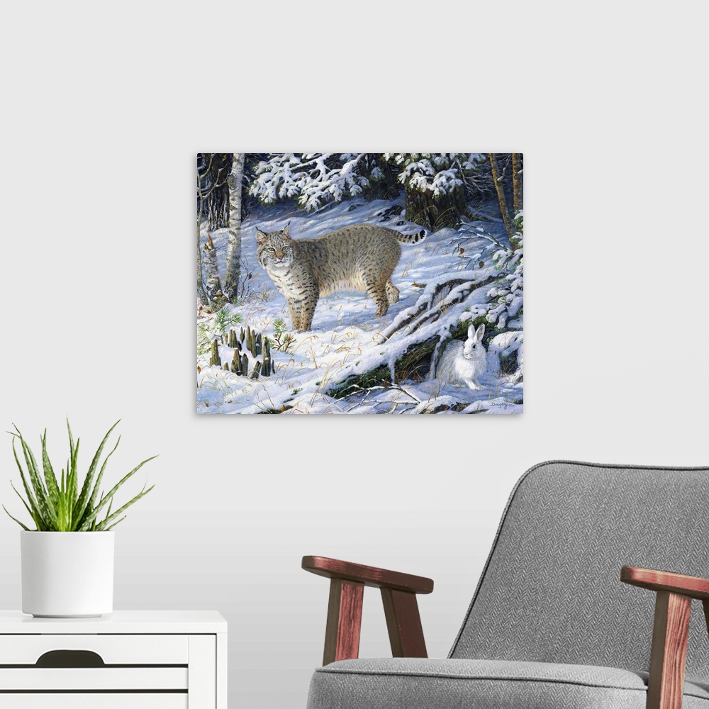 A modern room featuring A lynx hunting a rabbit in a snowy forest.