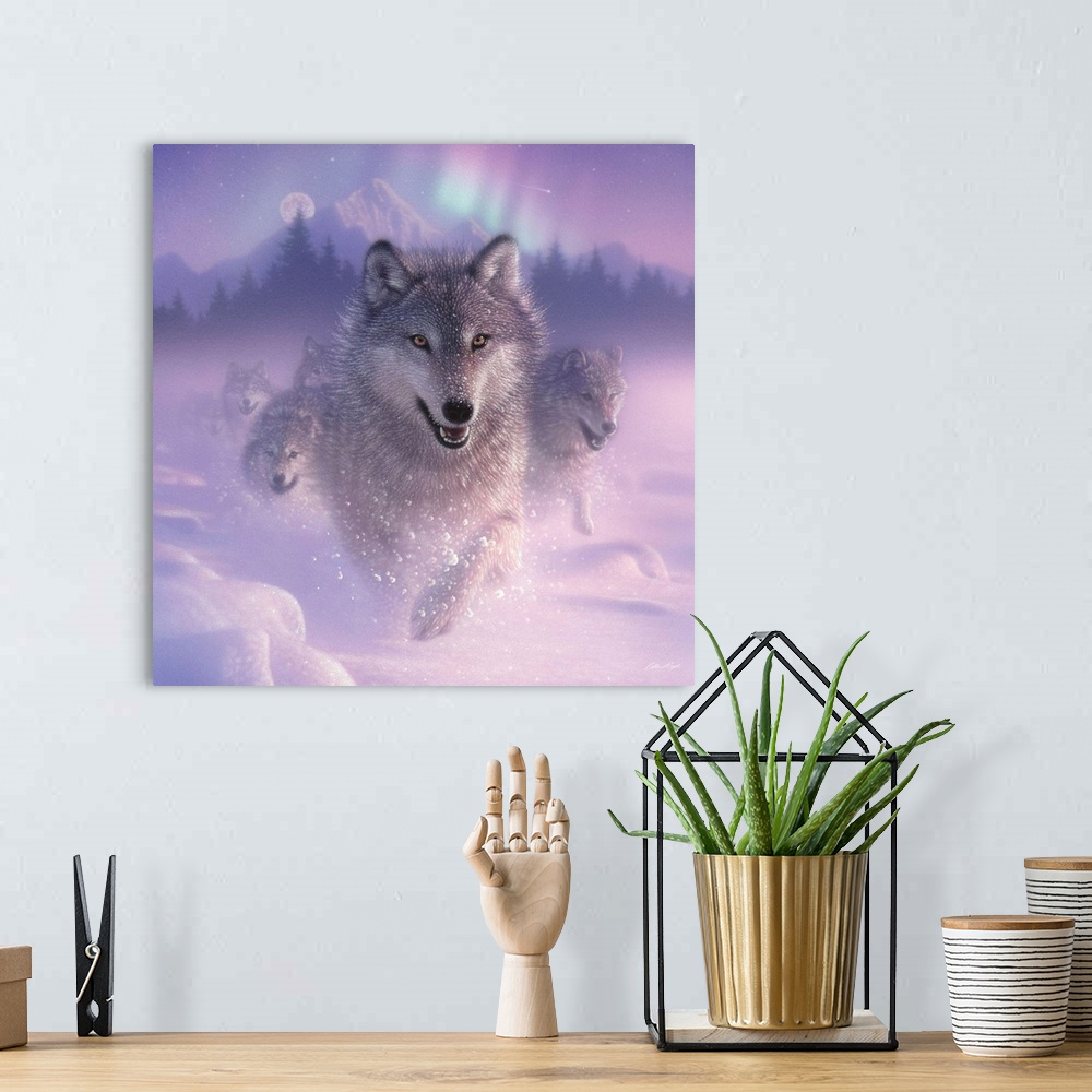 A bohemian room featuring Running Wolves - Northern Lights - Square