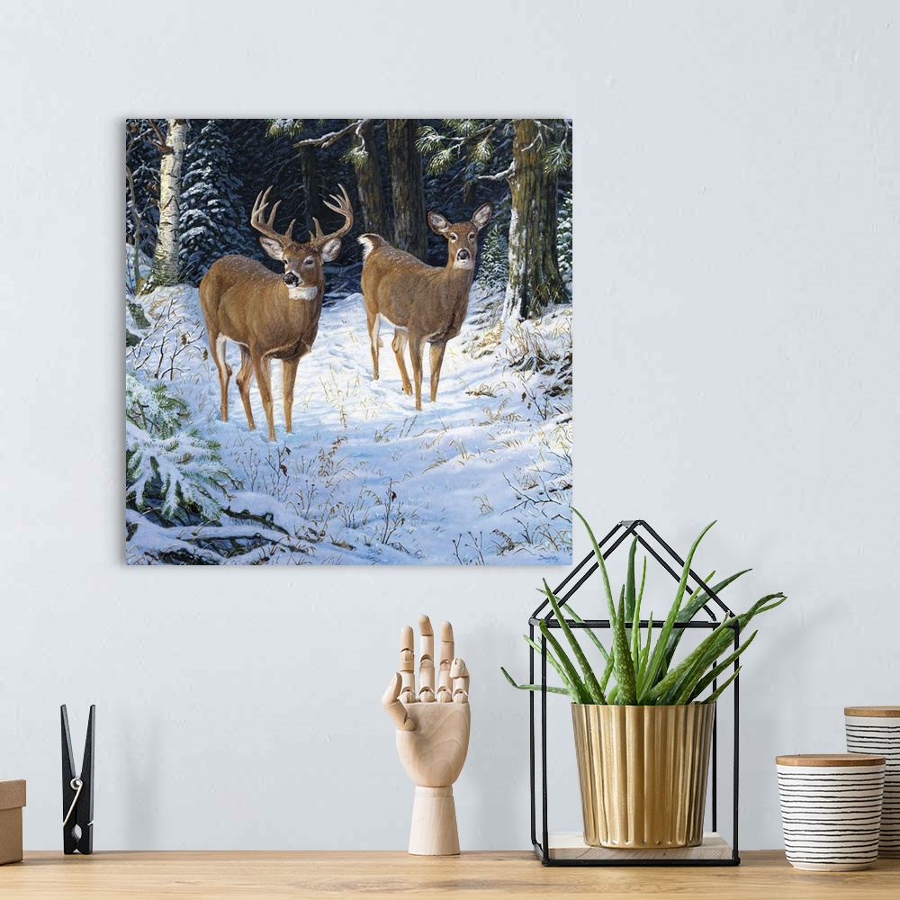 A bohemian room featuring A pair of deer walking in a quiet forest in the snow.