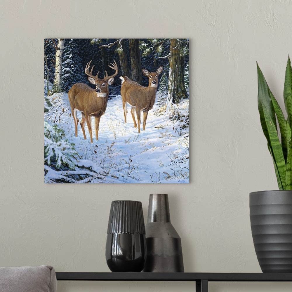 A modern room featuring A pair of deer walking in a quiet forest in the snow.