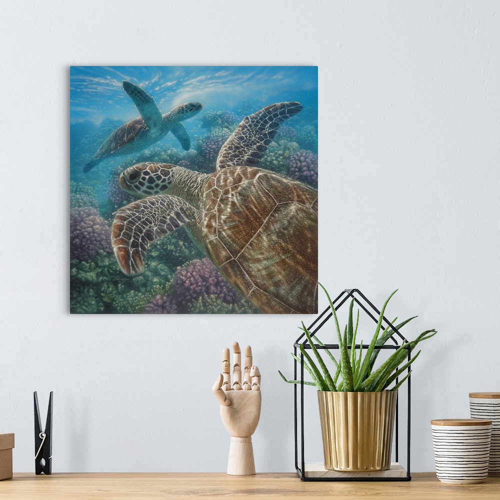A bohemian room featuring Sea Turtles - Turtle Bay