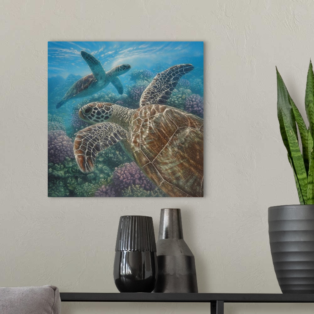 A modern room featuring Sea Turtles - Turtle Bay