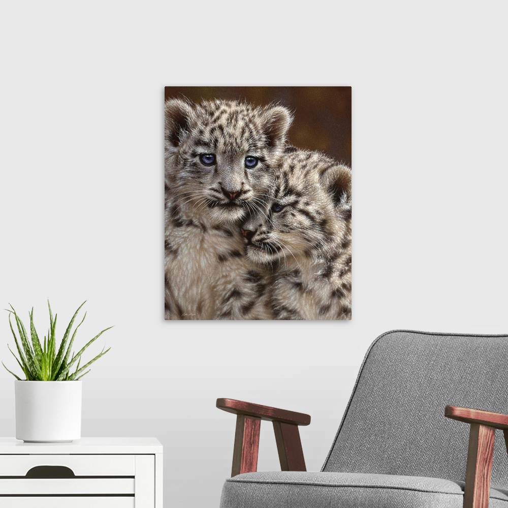 A modern room featuring Snow Leopard Cubs - Playmates