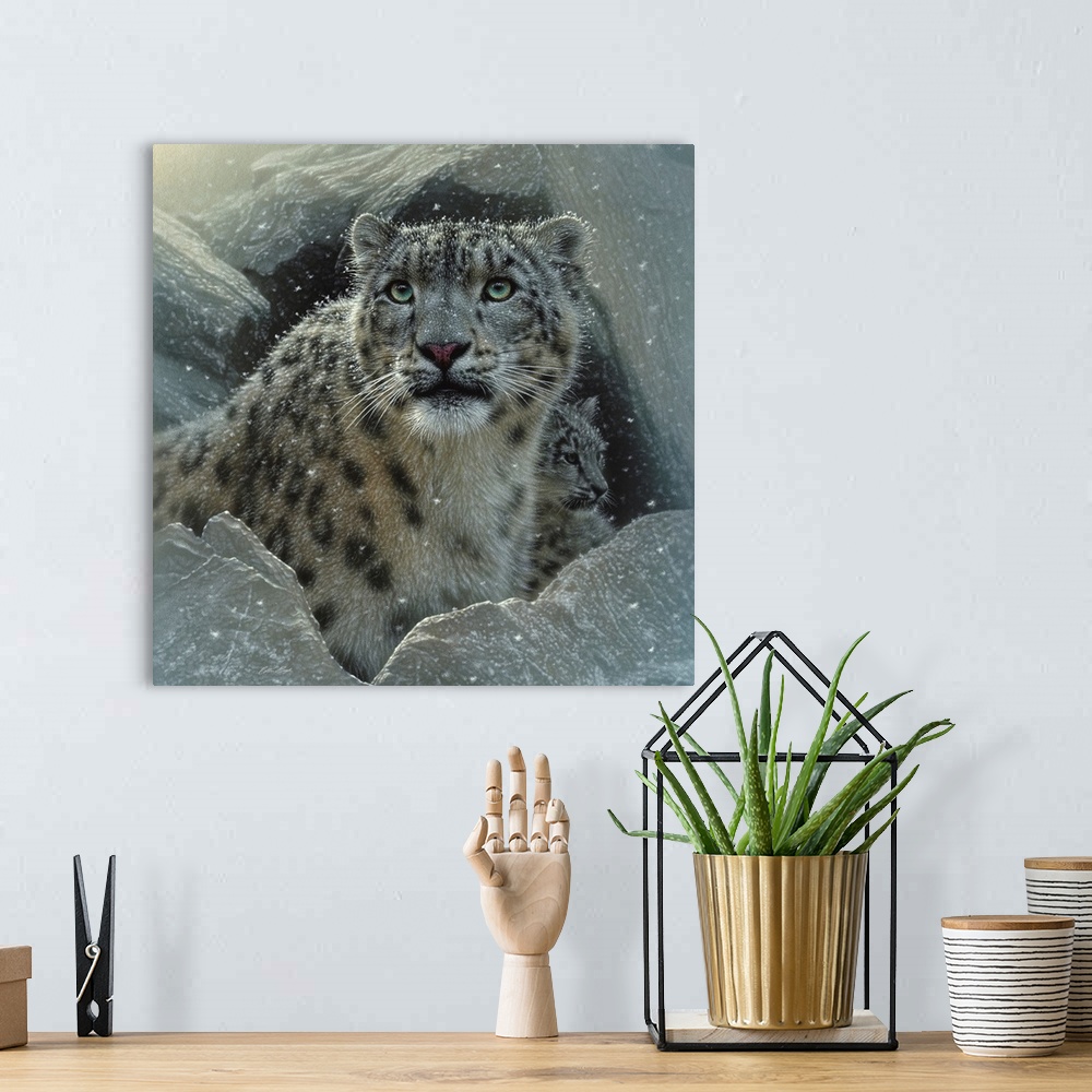 A bohemian room featuring Snow Leopard - The Fortress
