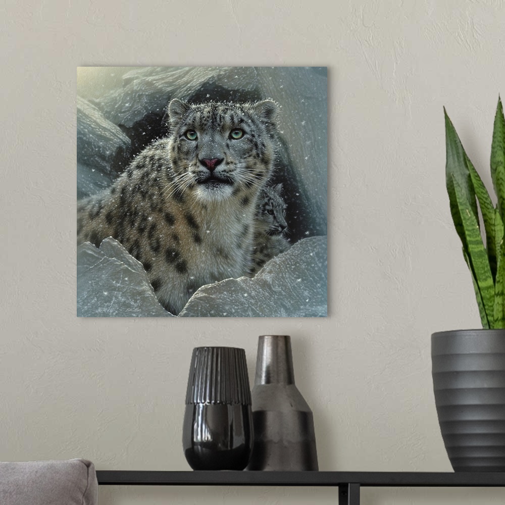 A modern room featuring Snow Leopard - The Fortress