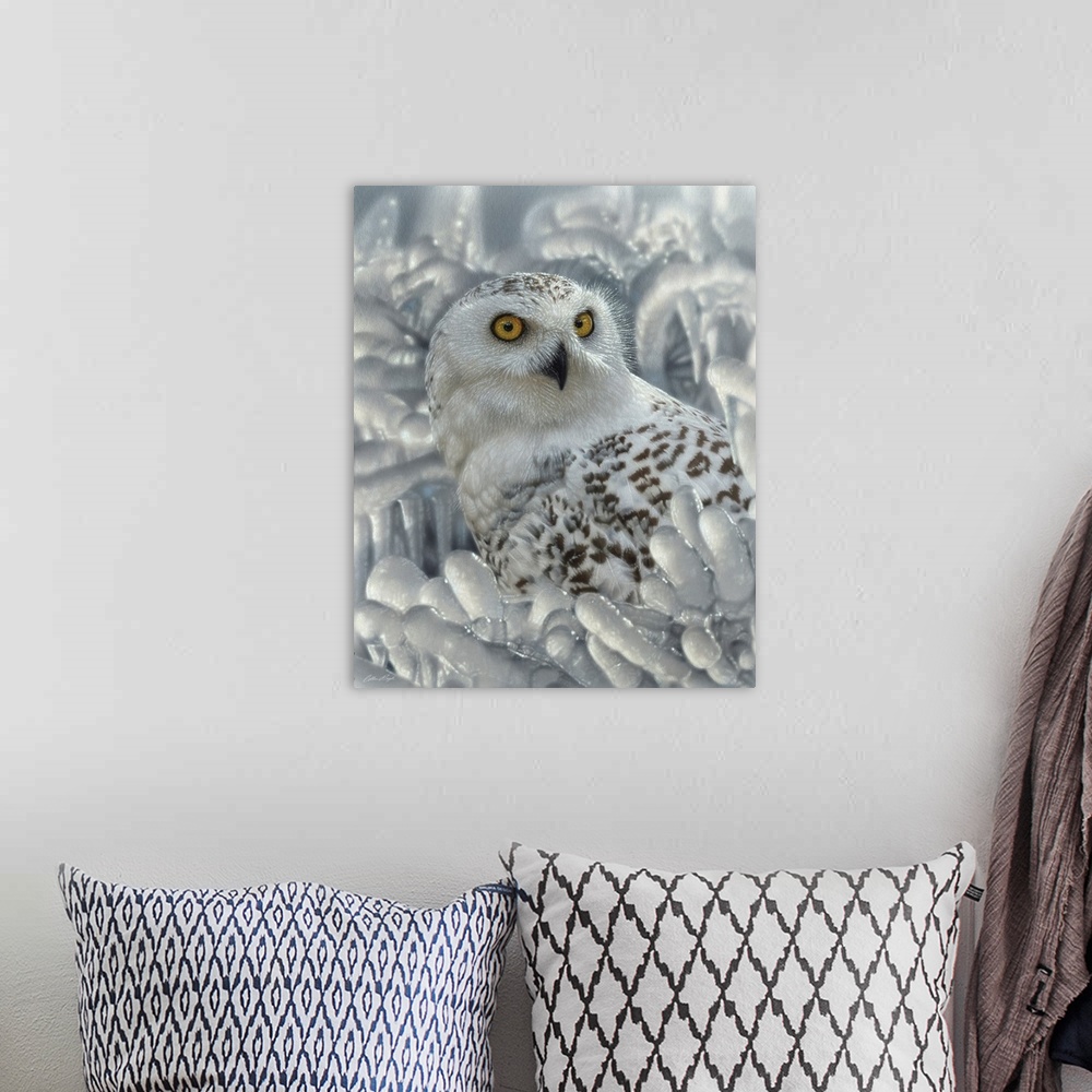 A bohemian room featuring Snowy Owl Sanctuary