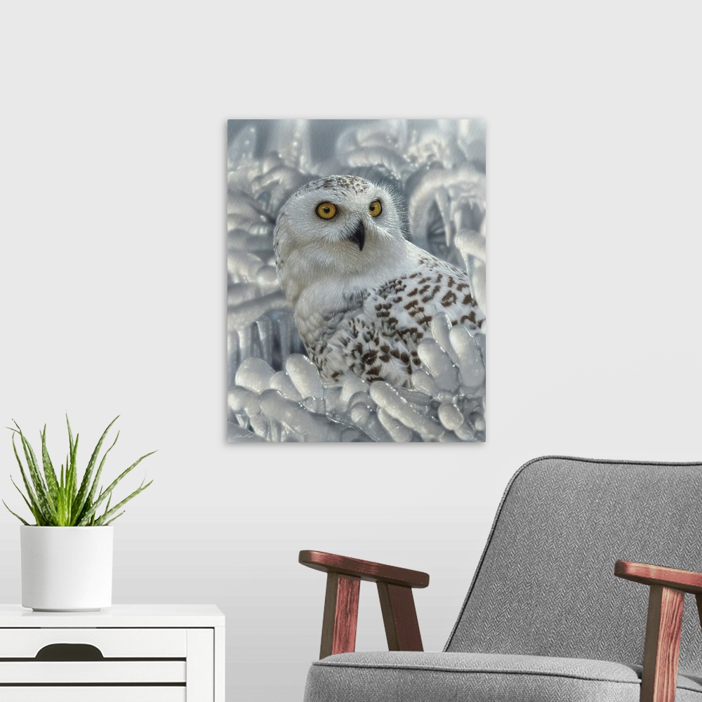 A modern room featuring Snowy Owl Sanctuary