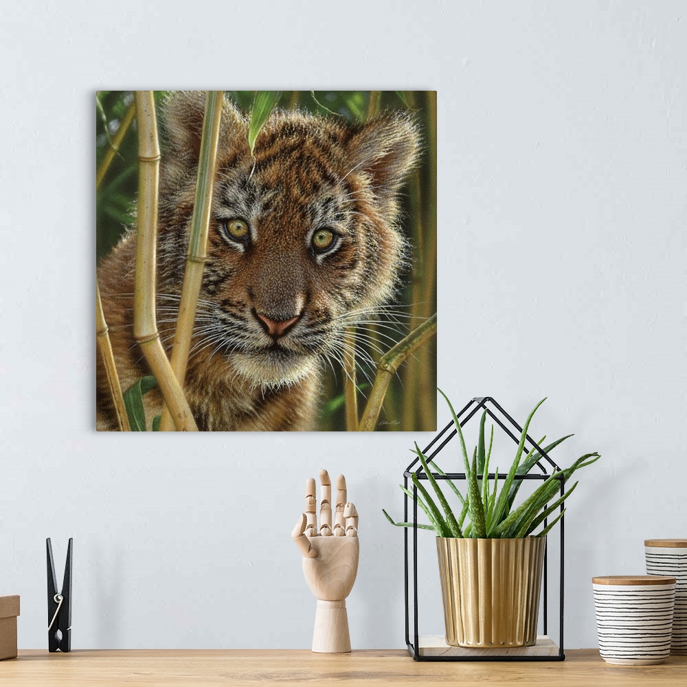 A bohemian room featuring Tiger Cub - Discovery