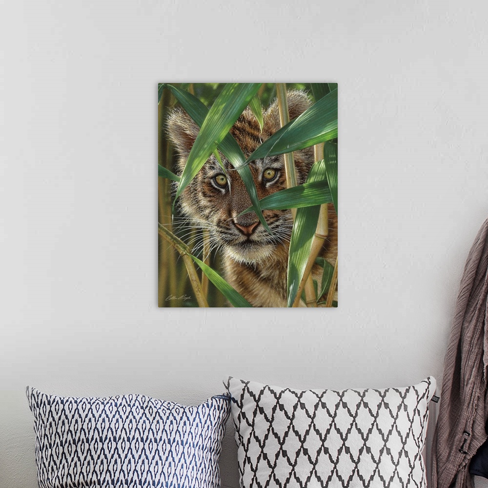 A bohemian room featuring Tiger Cub - Peekaboo