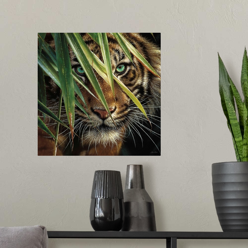 A modern room featuring Tiger Eyes
