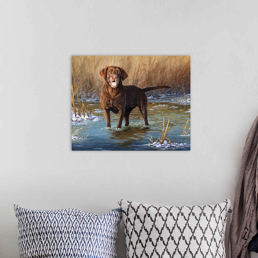 A bohemian room featuring Top Dog Chocolate Lab
