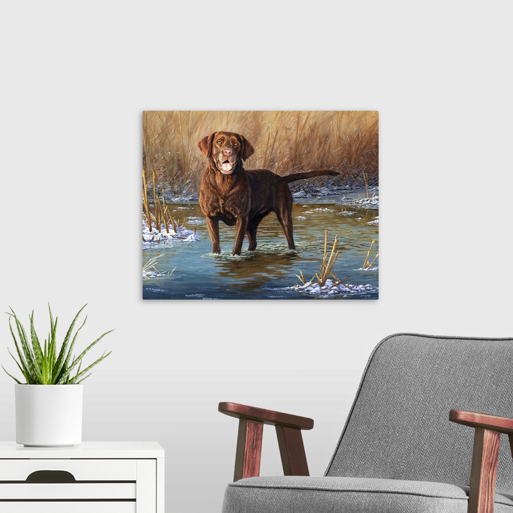 A modern room featuring Top Dog Chocolate Lab